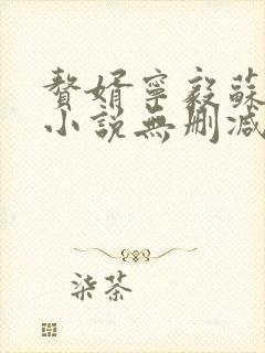 赘婿宁毅苏檀儿小说无删减在线阅读