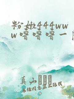 粉嫩444www噜噜噜一区二区三区
