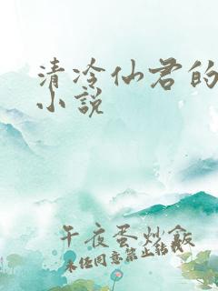 清冷仙君的堕落小说