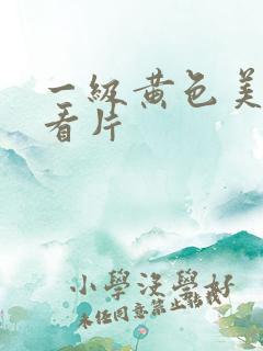 一级黄色美女试看片