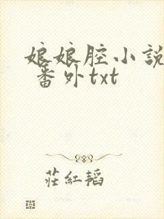 娘娘腔小说完整 番外txt