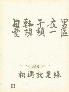 日韩午夜男女爱爱视频一区二区