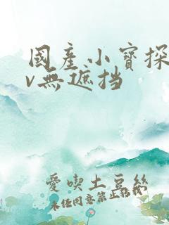 国产小宝探花av无遮挡