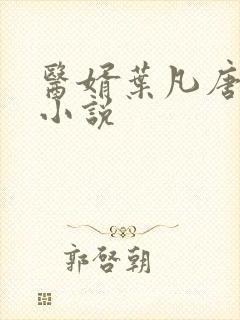 医婿叶凡唐若雪小说