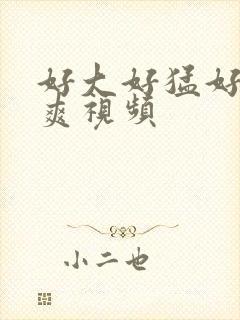 好大好猛好深好爽视频