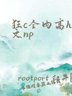 狂c全肉高h辣文np