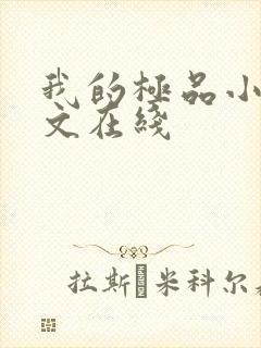 我的极品小姨全文在线