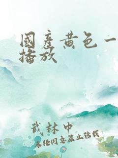 国产黄色一级片播放