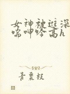 女神被进深处娇喘呻吟高h