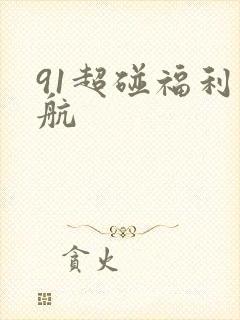 91超碰福利导航