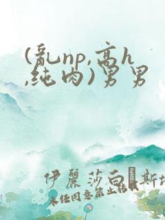 (乱np,高h,纯肉)男男