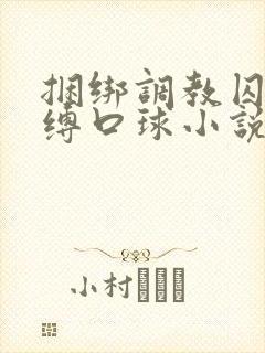 捆绑调教囚禁束缚口球小说