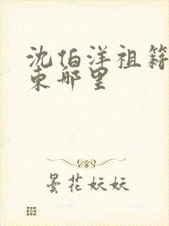 沈伯洋祖籍是山东哪里