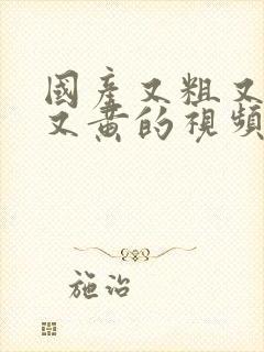 国产又粗又猛爽又黄的视频