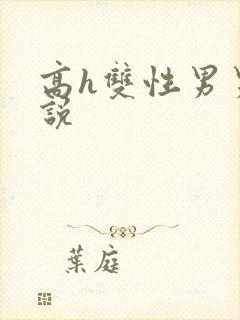 高h双性男男小说