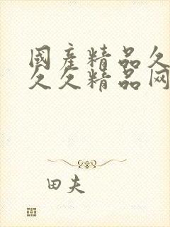 国产精品久久久久久精品网站