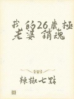 我的26岁极品老婆 销魂