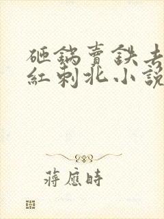 砸锅卖铁去上学红刺北小说最新章节下载