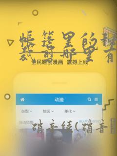 帐篷里的秘密未裁剪哪里有：结局+番外