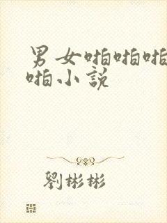 男女啪啪啪啪啪啪小说