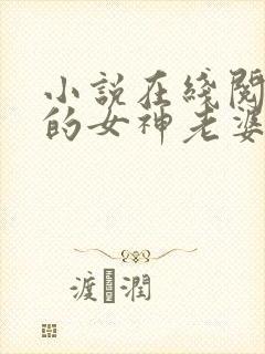 小说在线阅读我的女神老婆