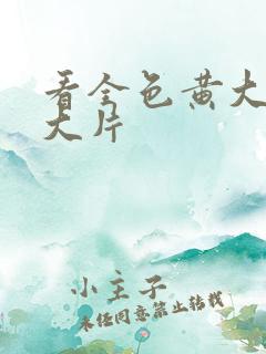 看全色黄大色′大片