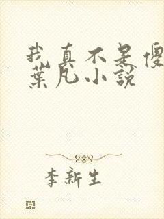 我真不是傻子了叶凡小说