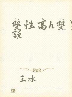 双性高h双男小说