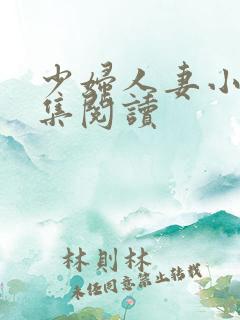 少妇人妻小说合集阅读