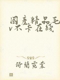 国产精品毛片av不卡在线