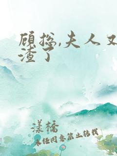 顾总,夫人又虐渣了