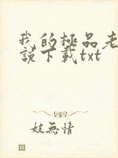 我的极品老婆小说下载txt