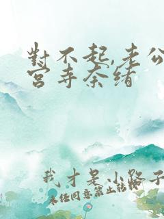 对不起,老公神宫寺奈绪