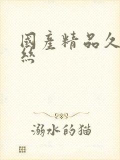 国产精品久久黑丝