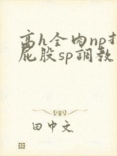 高h全肉np打屁股sp调教