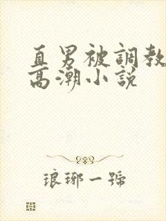 直男被调教玩弄高潮小说