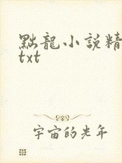 黜龙小说精校版txt