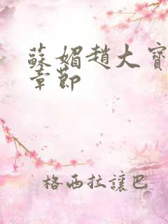 苏媚赵大宝最新章节