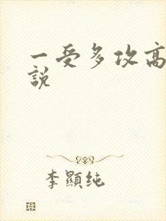 一受多攻高h小说