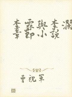 李霖与李澜最新章节小说