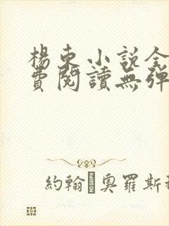 杨东小说全文免费阅读无弹窗