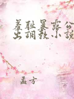 羞耻暴露公共露出调教小说