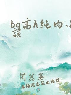 bg高h纯肉小说