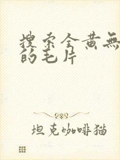 搜索全黄无遮挡的毛片