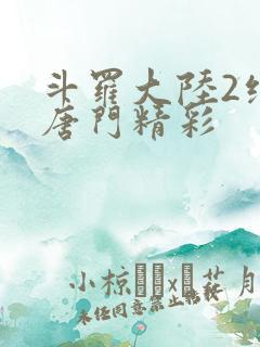 斗罗大陆2绝世唐门精彩