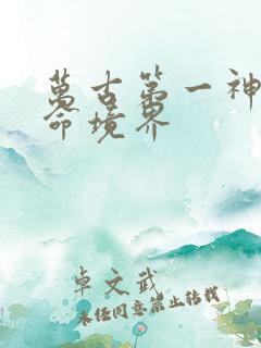 万古第一神李天命境界