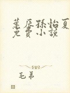 叶辰孙怡夏若雪免费小说