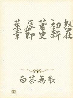 叶辰萧初然最新章节更新在线阅读