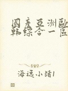 国产亚洲欧美日韩综合一区