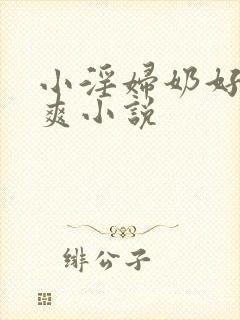 小淫妇奶好大好爽小说